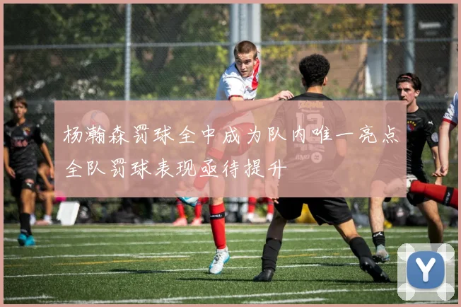 杨瀚森罚球全中成为队内唯一亮点全队罚球表现亟待提升