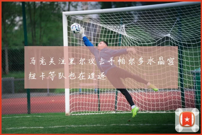 马竞关注里尔攻击手帕尔多水晶宫纽卡等队也在追逐